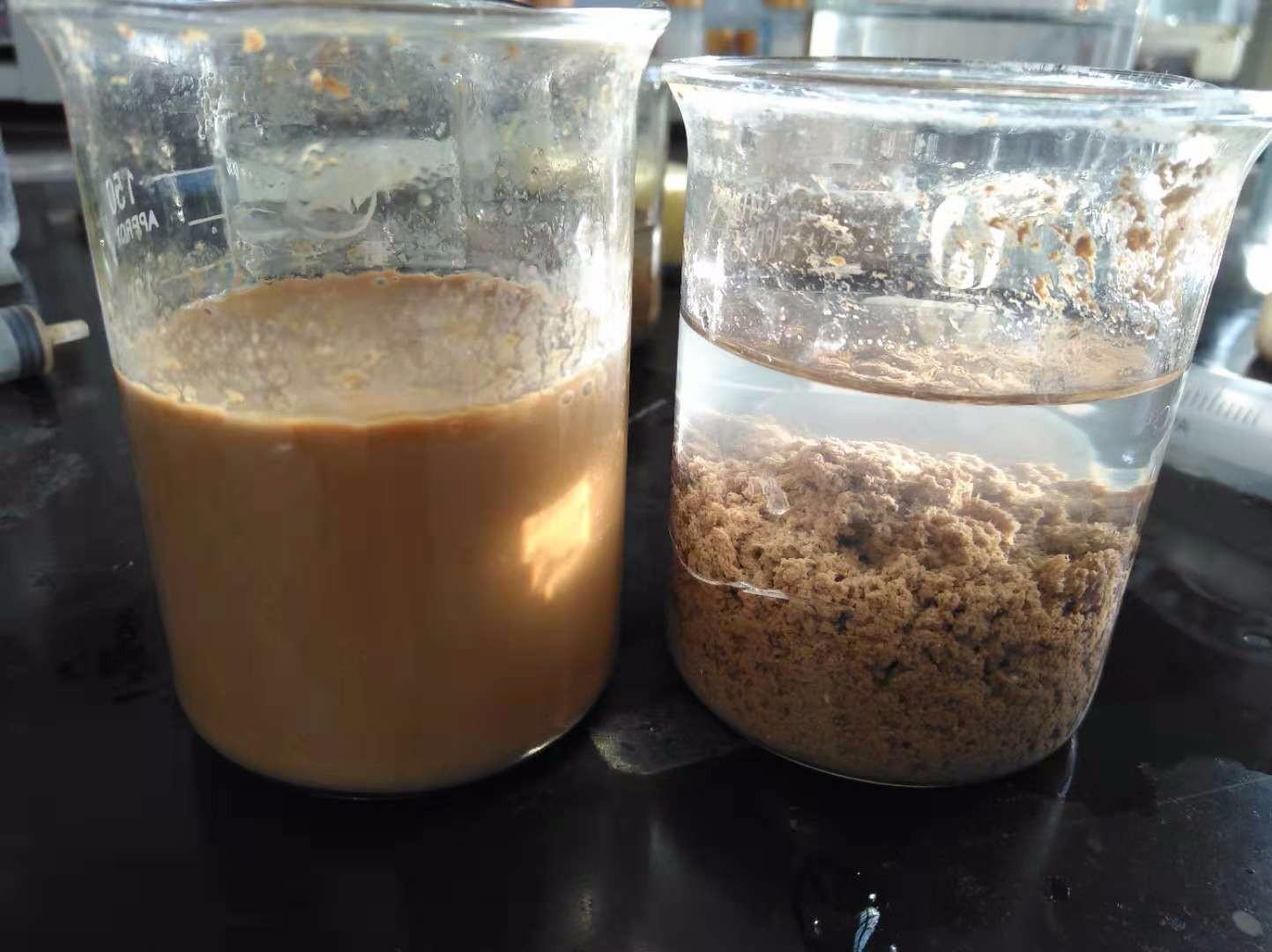 <a href='http://m.1818xinwen.com/jsyj/992.html' target='_blank'><u>非離子聚丙烯酰胺生產(chǎn)廠家</u></a>